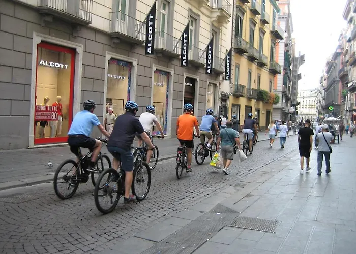 Daire Domus Toledo *