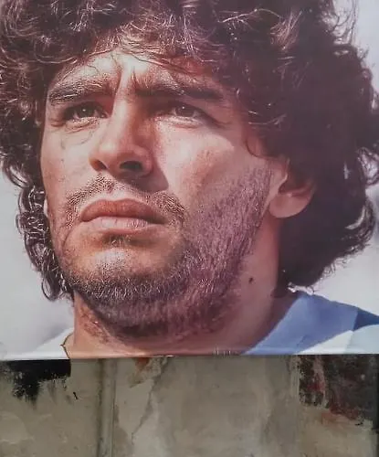 Domus Toledo Daire *